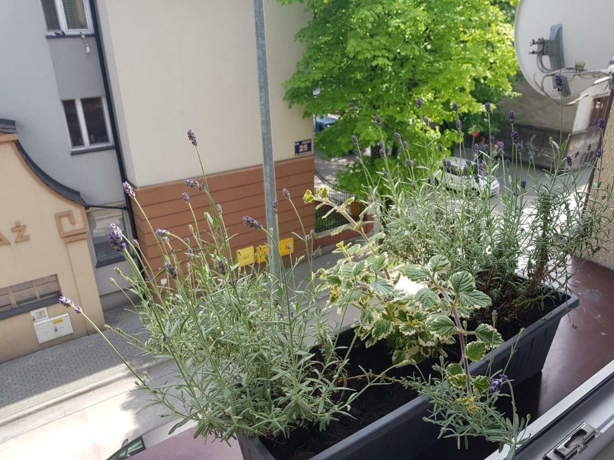 Przytulna I Przestrzenna Garsoniera- Centrum Tarnów エクステリア 写真